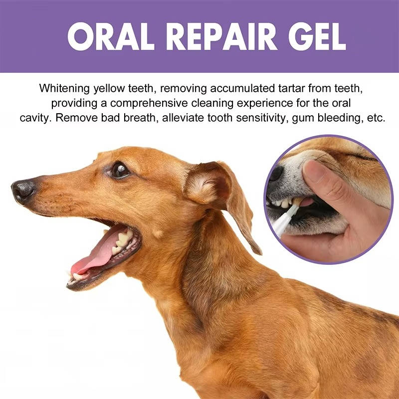 3 Set Dog Oral Repair Gel - product detail 3