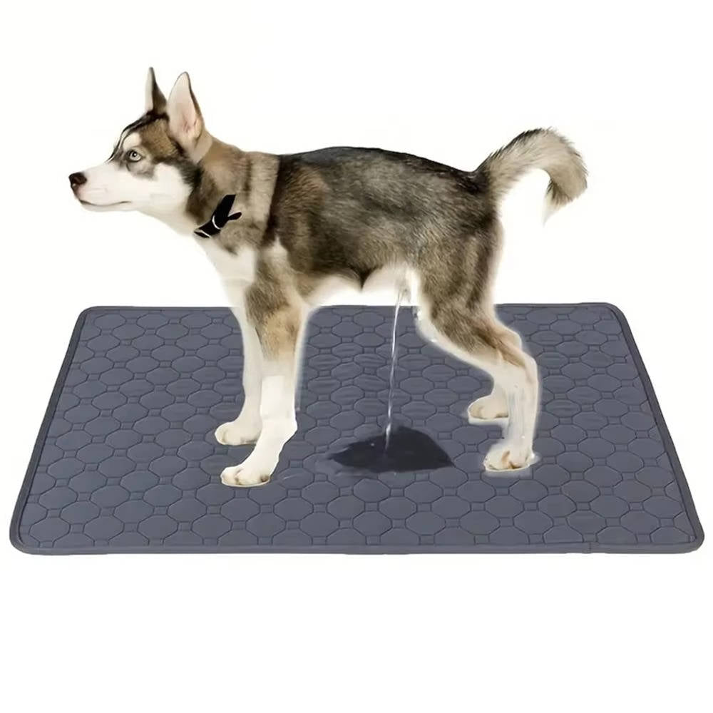 NOMOVA Dog Pee Pads Disposable And Reusable