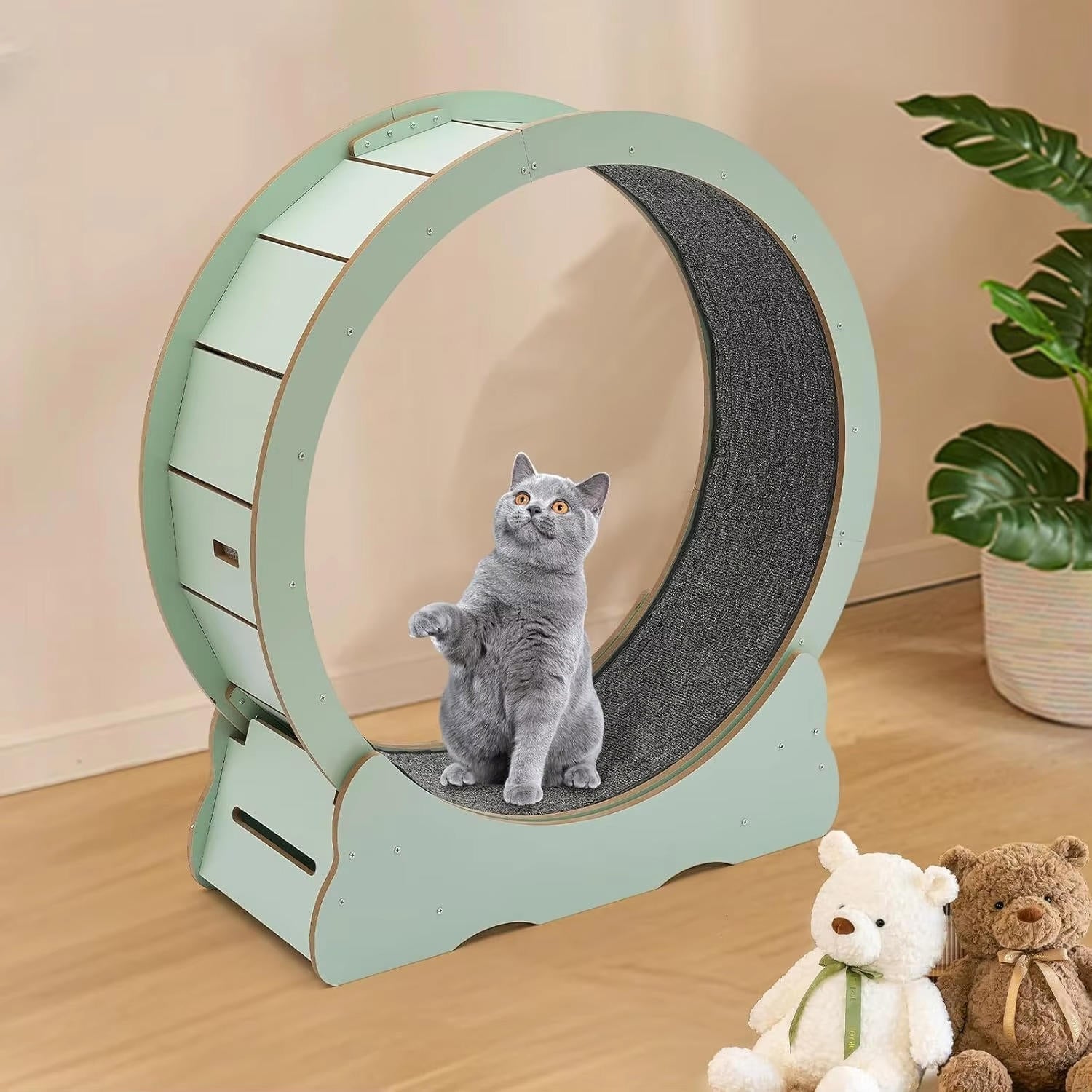 Cat Exercise Wheel - product detail 3