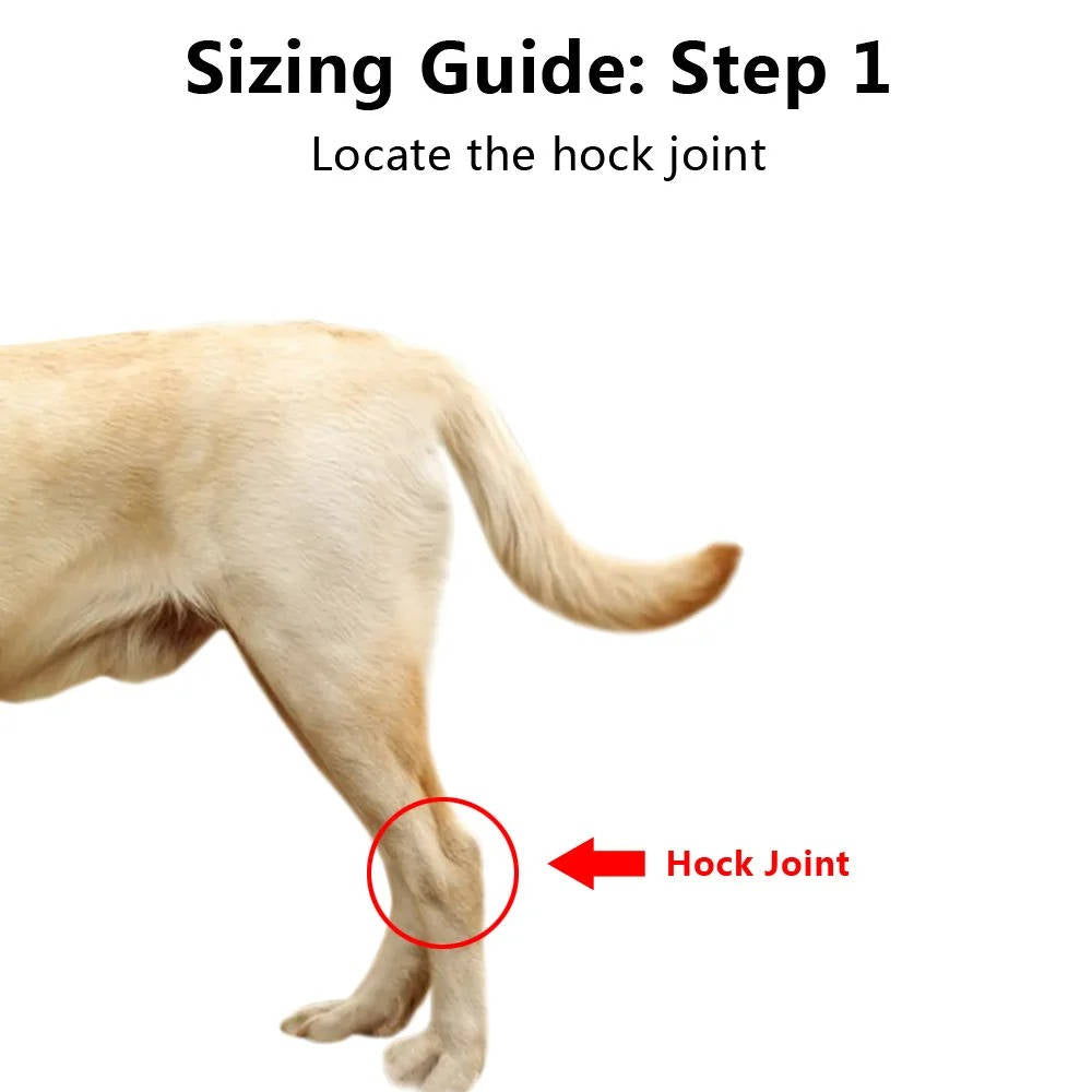 Orthopedic Braces For Dogs - product detail 3