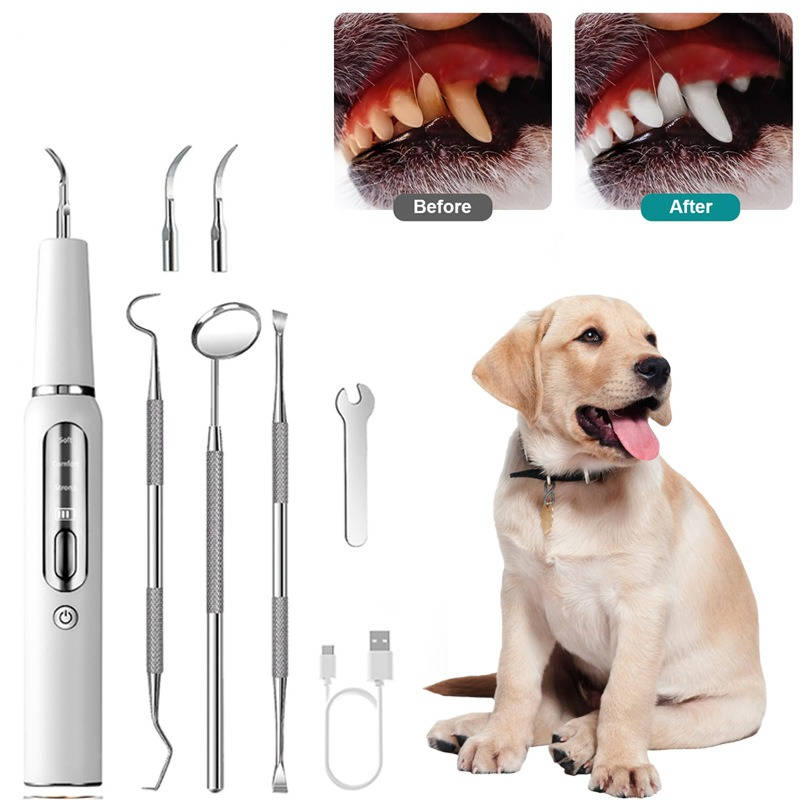 Dog Plaque Tartar Calculus Remover at Home - product detail 6