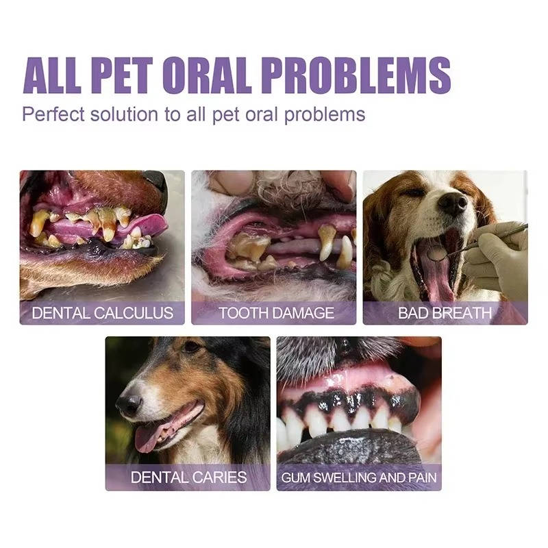 3 Set Dog Oral Repair Gel - product detail 6