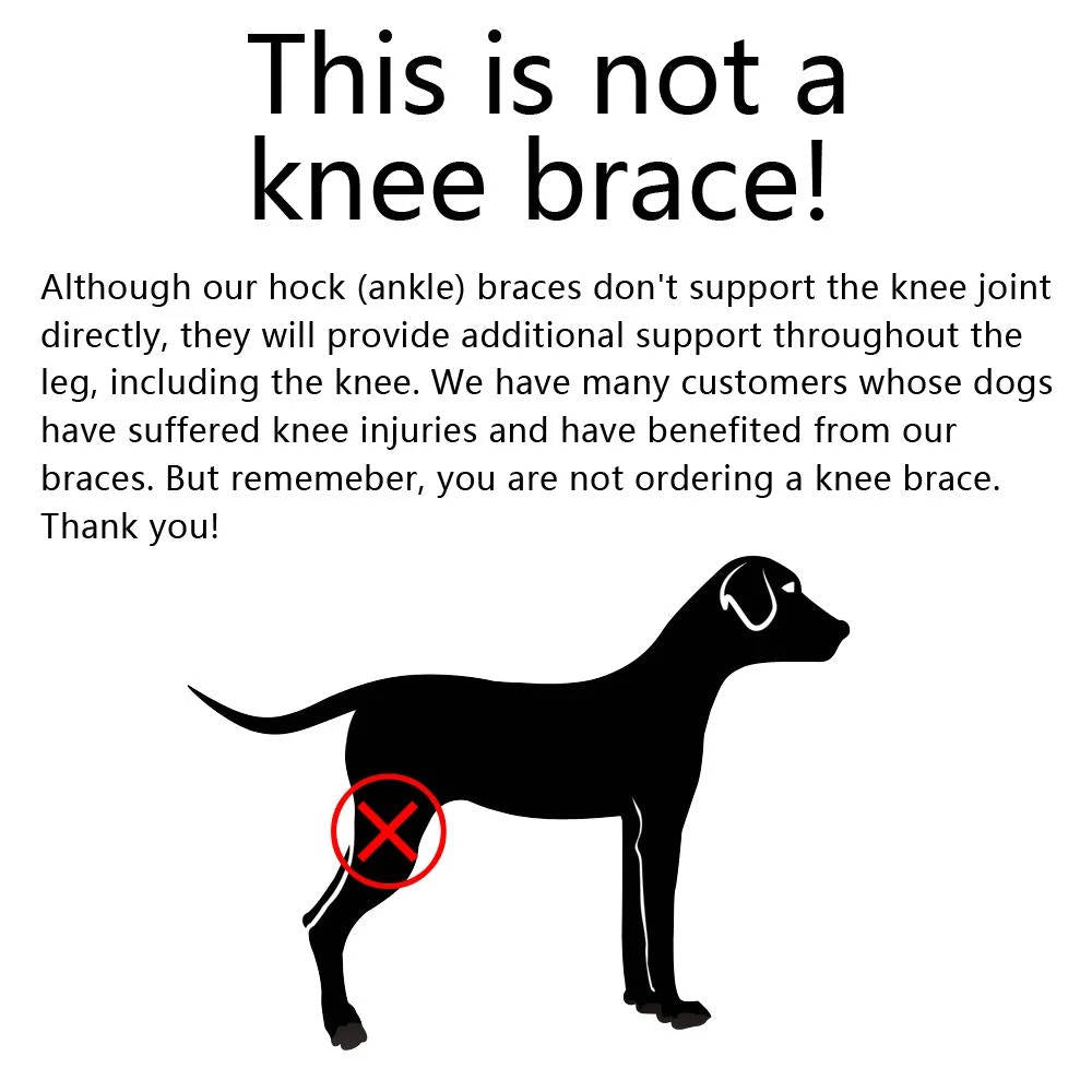 Orthopedic Braces For Dogs - product detail 7