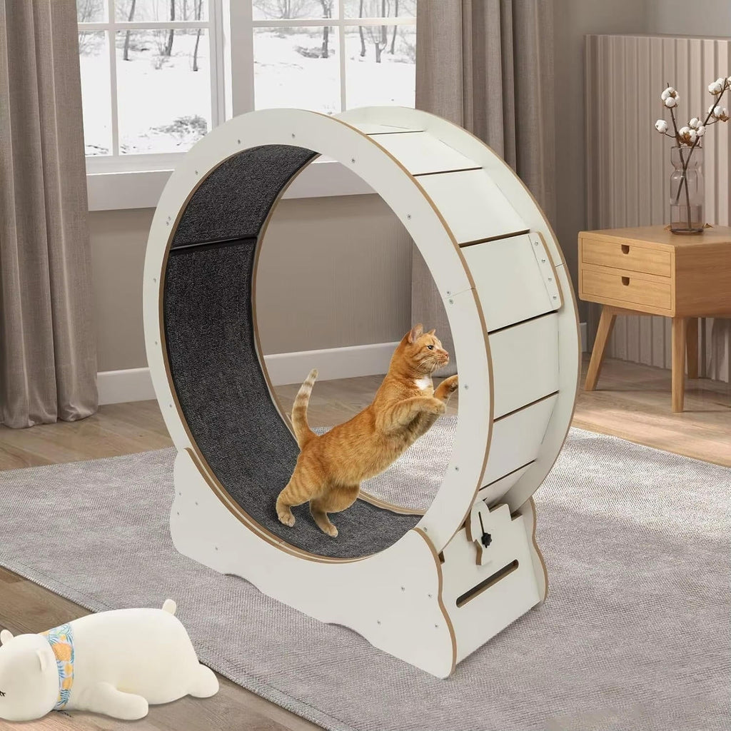 Cat Exercise Wheel - product detail 4