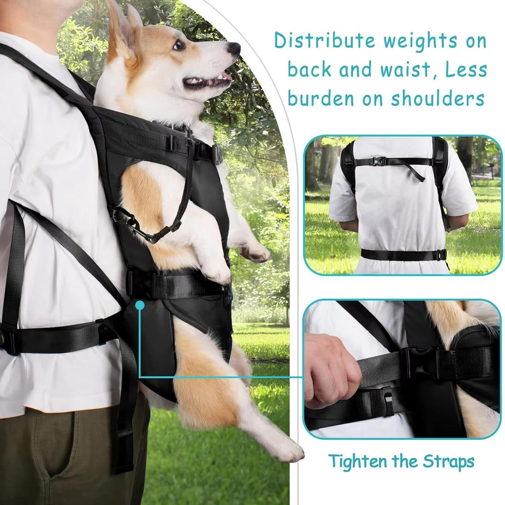 Dog Carrying Backpack - product detail 4