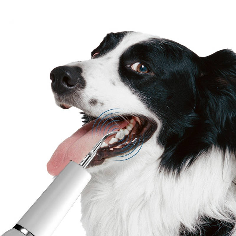 Dog Plaque Tartar Calculus Remover at Home - product detail 2