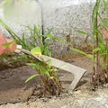 NOMOVA Multifunctional Weed Puller Tool for Brick Joints