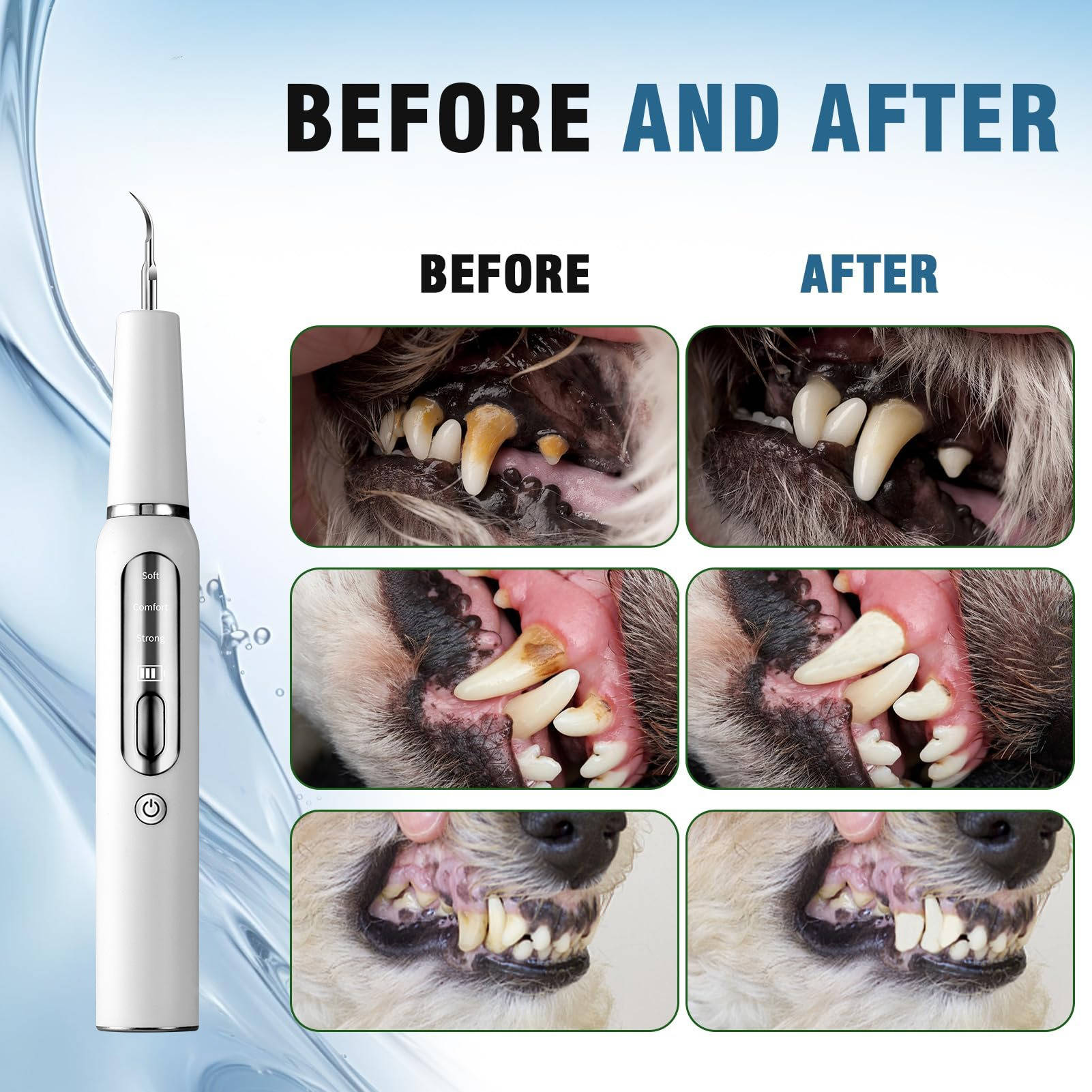 Dog Plaque Tartar Calculus Remover at Home - product detail 3