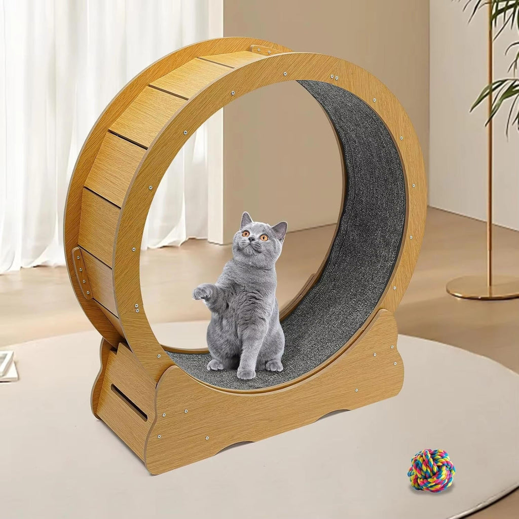 Cat Exercise Wheel - product detail 5