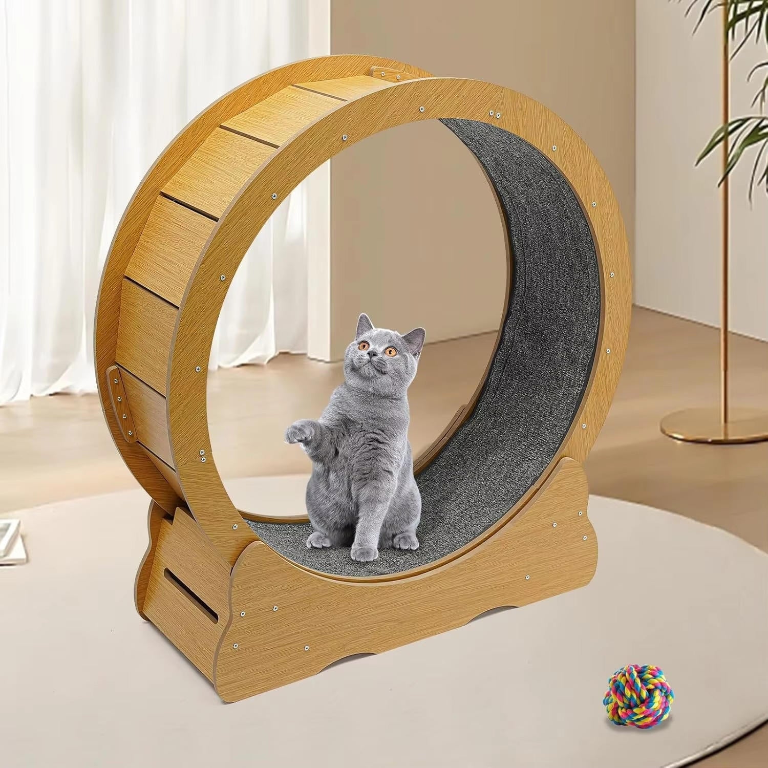 Cat Exercise Wheel - product detail 5