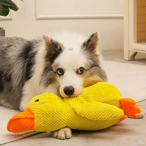 Calming Durable Duck - product image 3