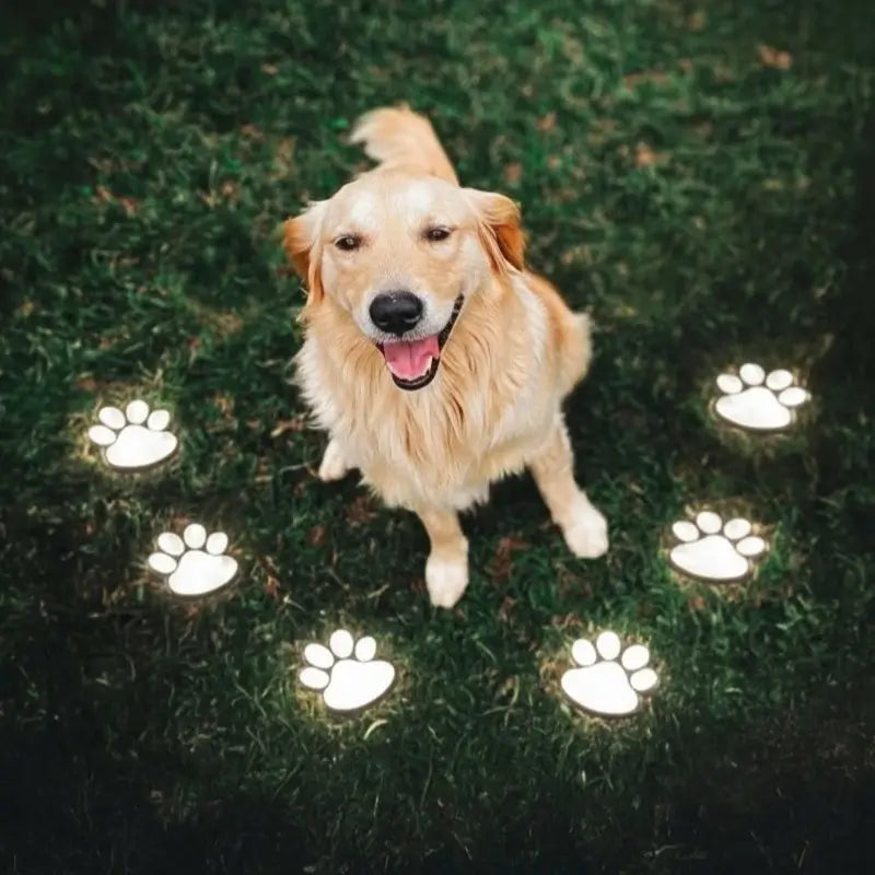 Luz de camino con huella de animal, decoración ecológica para jardín con energía solar
