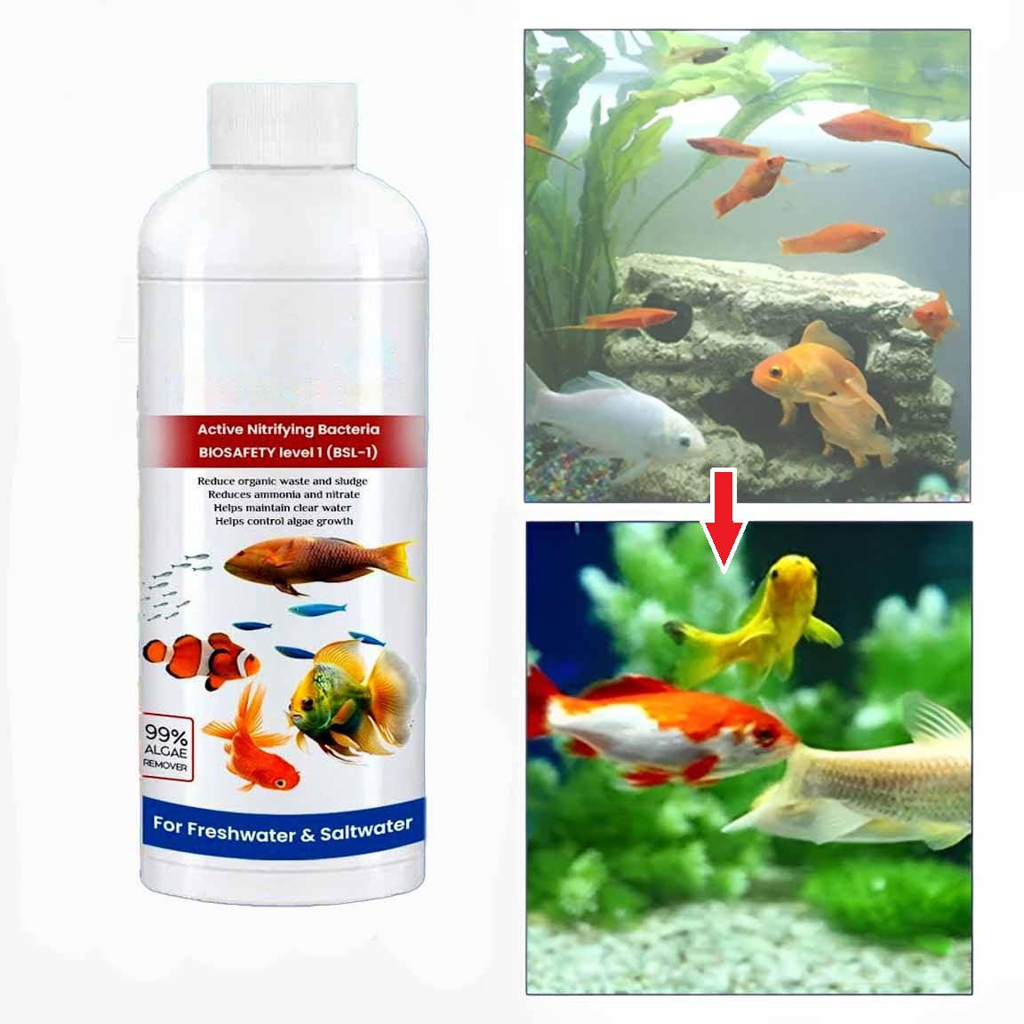 NOMOVA 3 Pack Fish Tank Cleaner Liquid