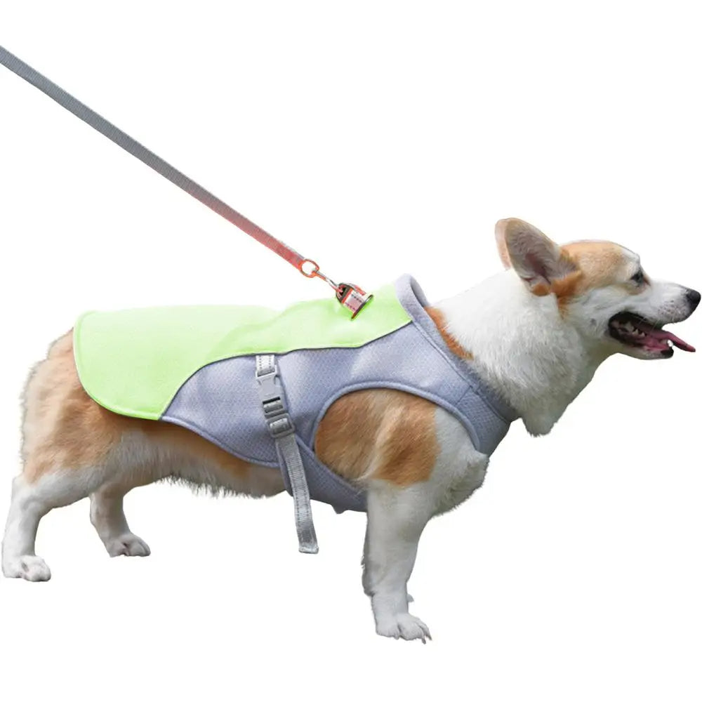 Dog Cooling Vest for Outdoor Activities - product detail 8