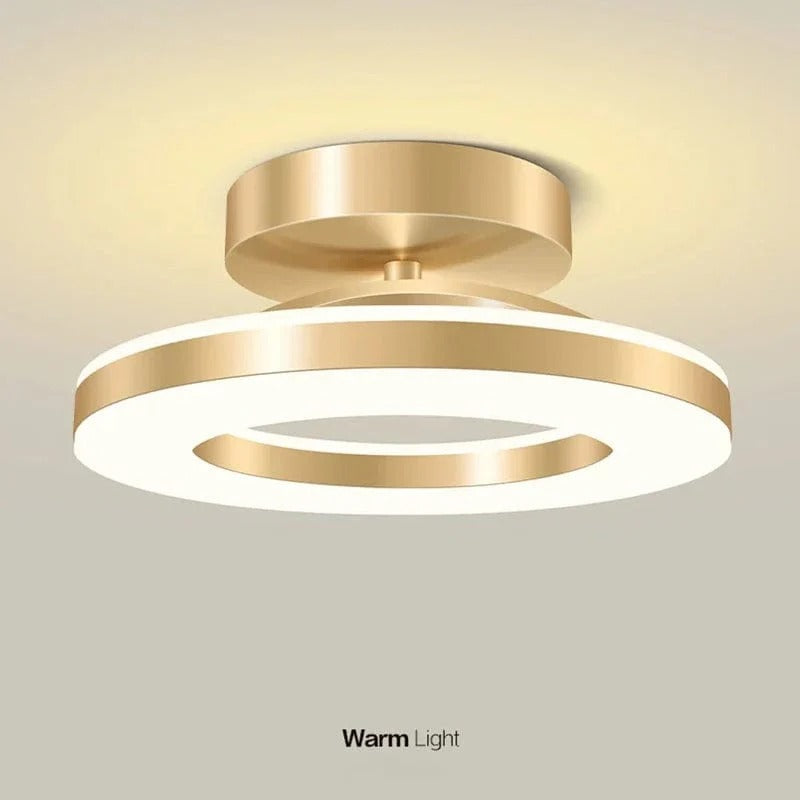 LED Ceiling Light Fixture - product detail 5