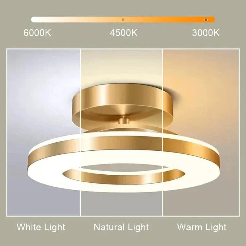 LED Ceiling Light Fixture - product detail 3