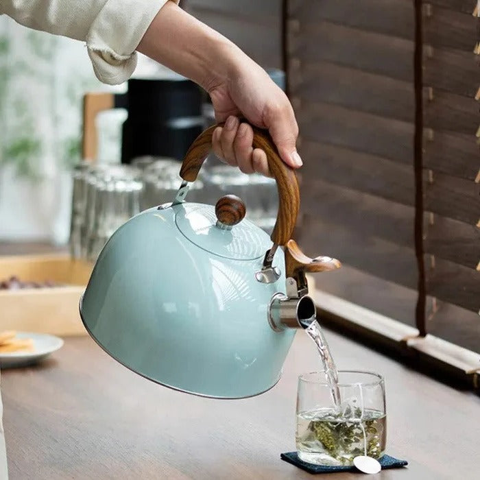 Whistling Kettle for Hot Drink Preparation - product detail 6