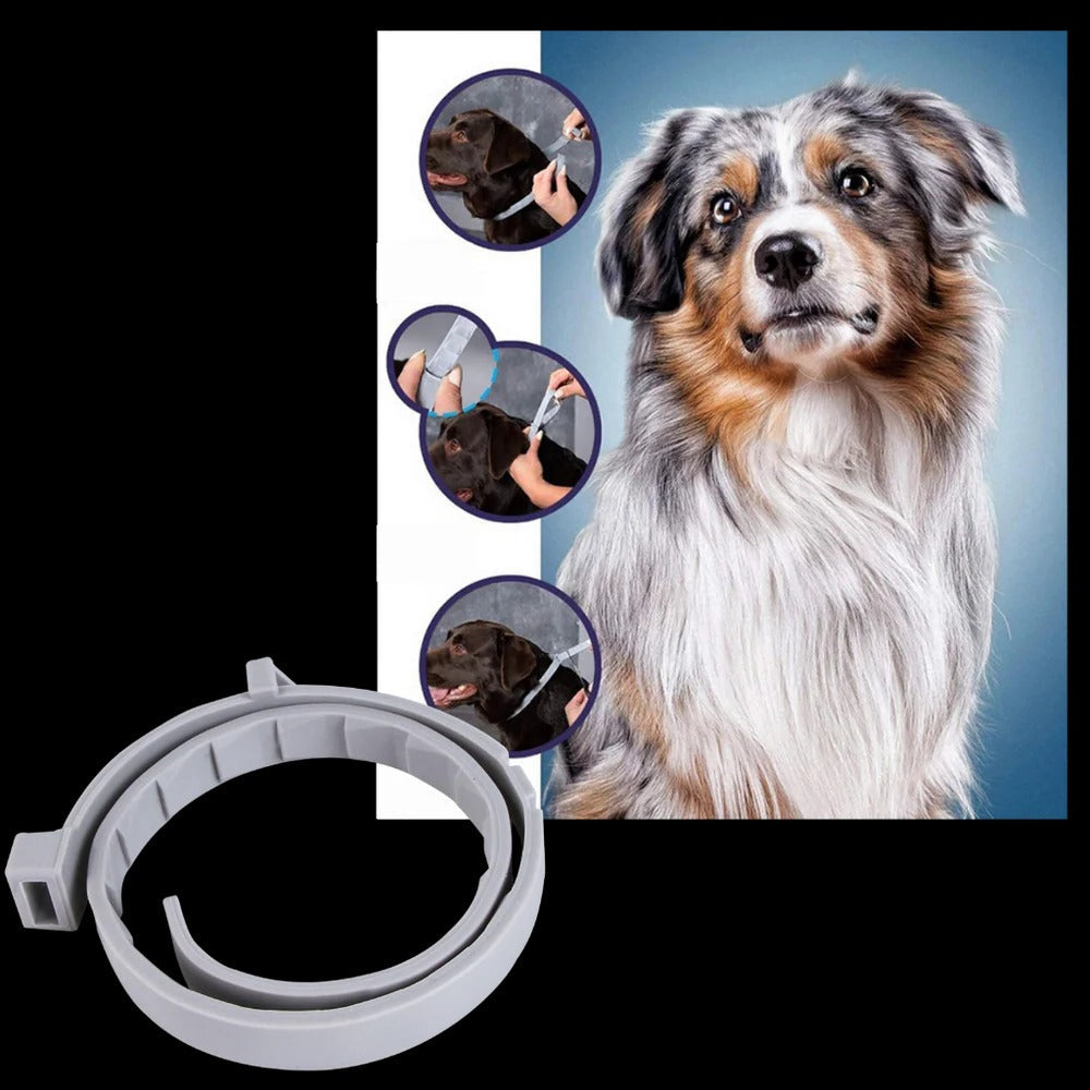 Parasite Repellent Pet Collar - product detail 8