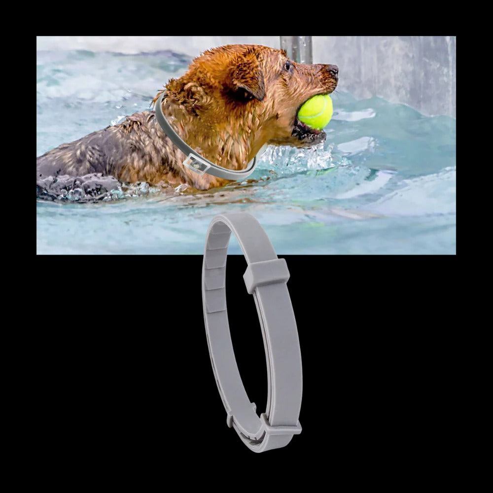 Parasite Repellent Pet Collar - product detail 7