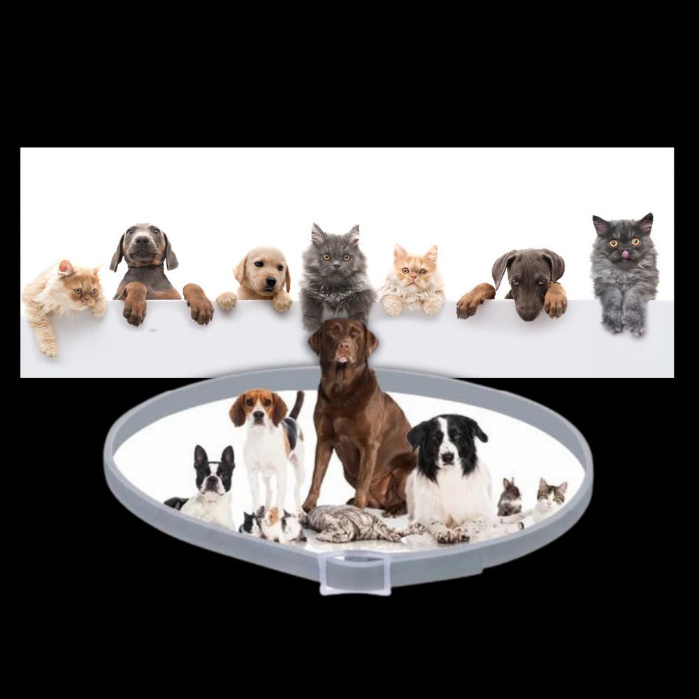 Parasite Repellent Pet Collar - product detail 5