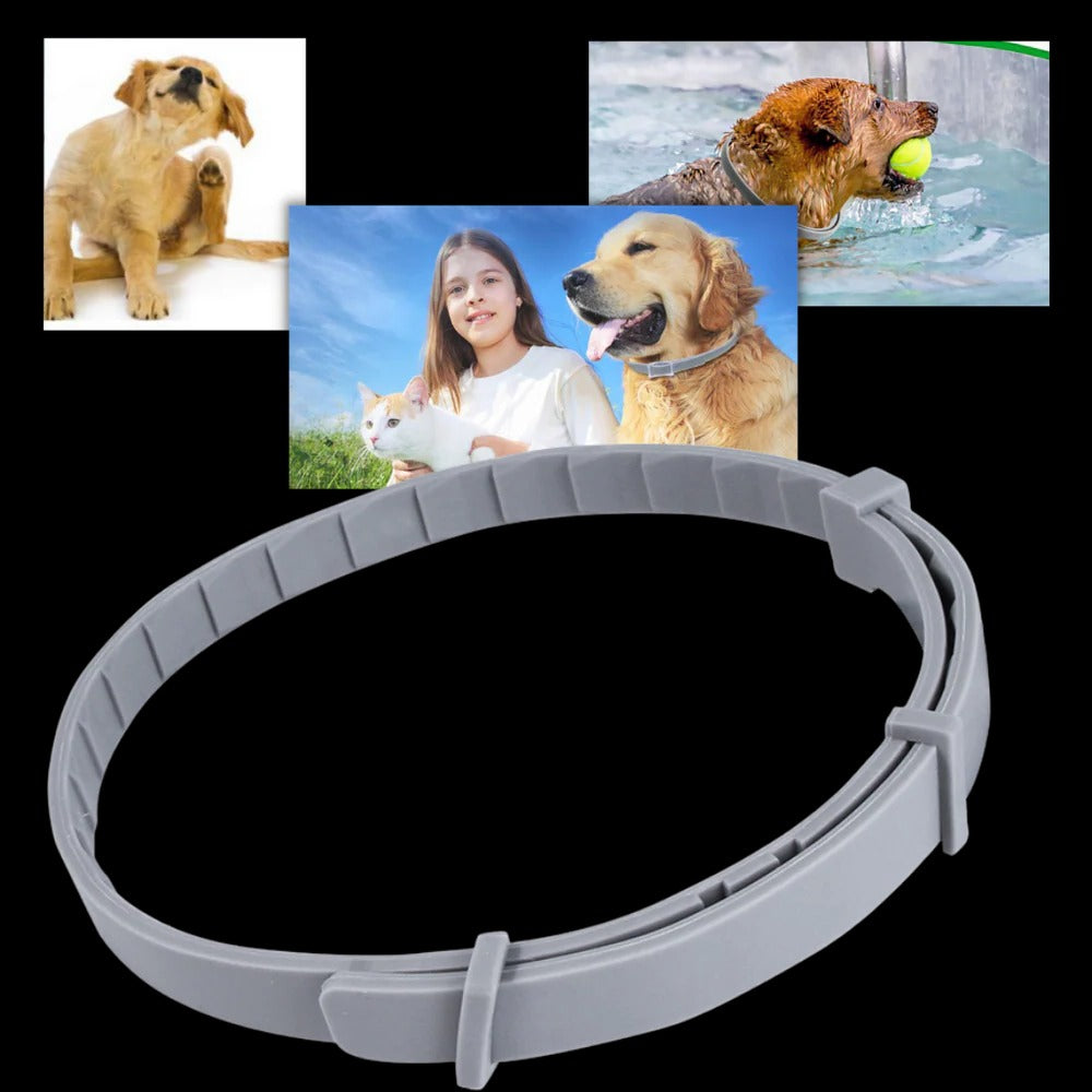 Parasite Repellent Pet Collar - product detail 2