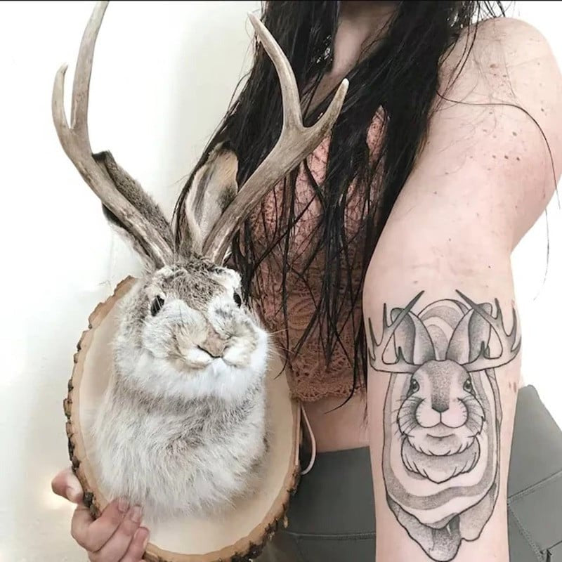 Jackalope Wall Decor - product detail 3