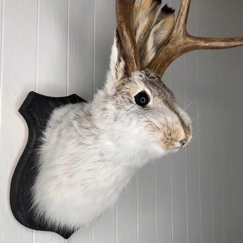 Jackalope Wall Decor - product detail 2