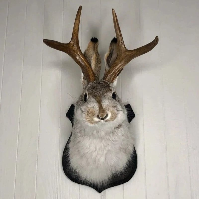 NOMOVA Jackalope Wall Decor