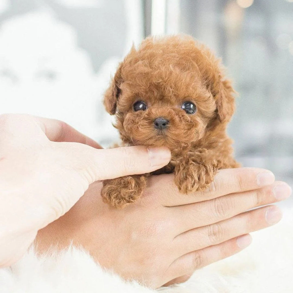 Realistic Robotic Puppy - product detail 4