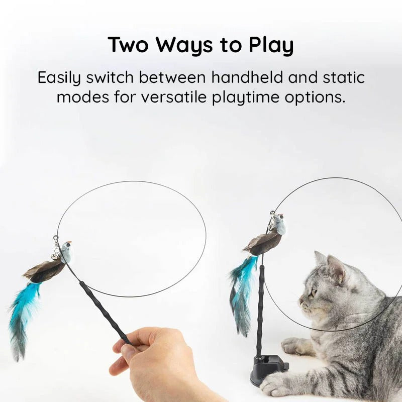 Bird Simulation Toy Set for Cats - product detail 10
