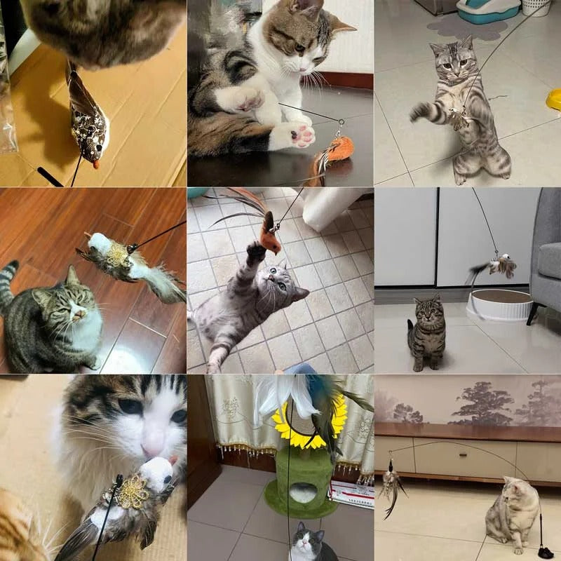Bird Simulation Toy Set for Cats - product detail 9