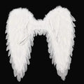NOMOVA Feathered Angel Wings Costume