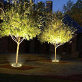 NOMOVA LED Tree Spotlight