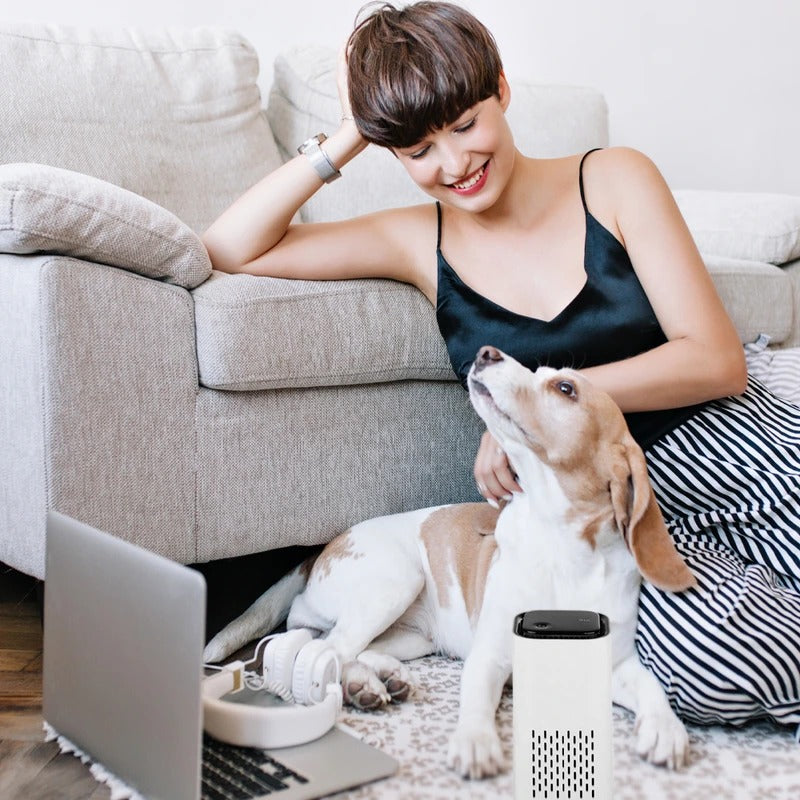 Pet Air Purifier - product detail 6