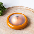 NOMOVA Fruit & Vegetable Fresh-Keep Storage Box