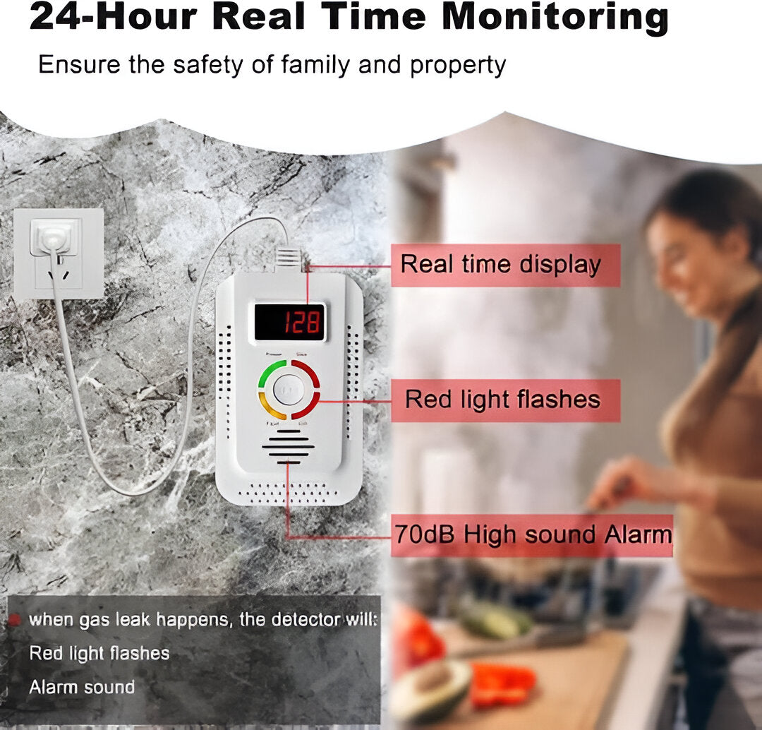 Plug-In Household Gas and CO Detection Unit - product detail 5