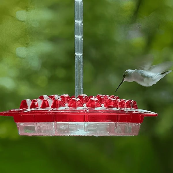 Hummingbird Feeder With Built-In Ant Moat - product detail 6