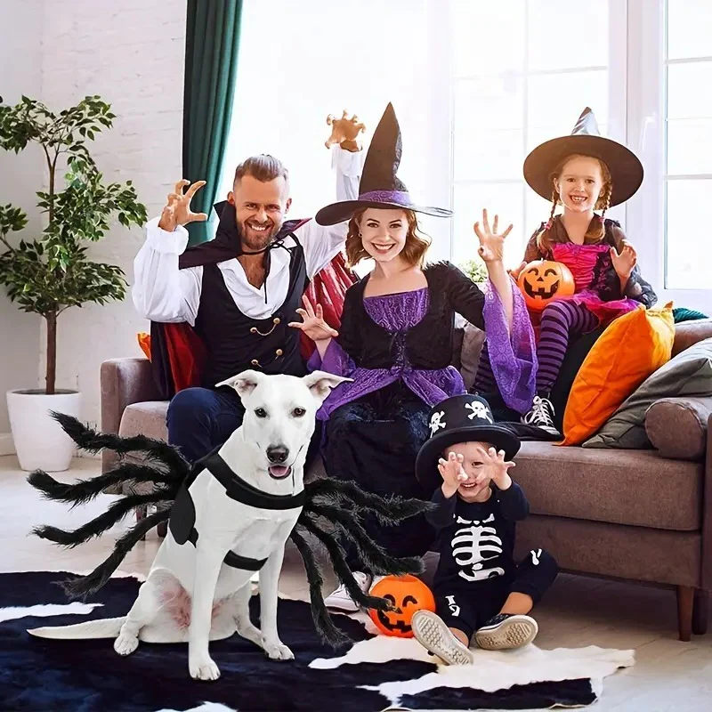 Pet Funny Spider Costume - product image 6