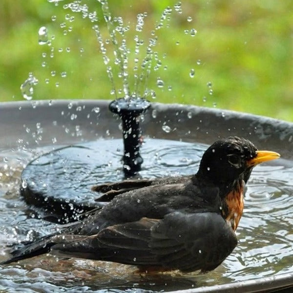 Solar Water Fountain - product detail 5