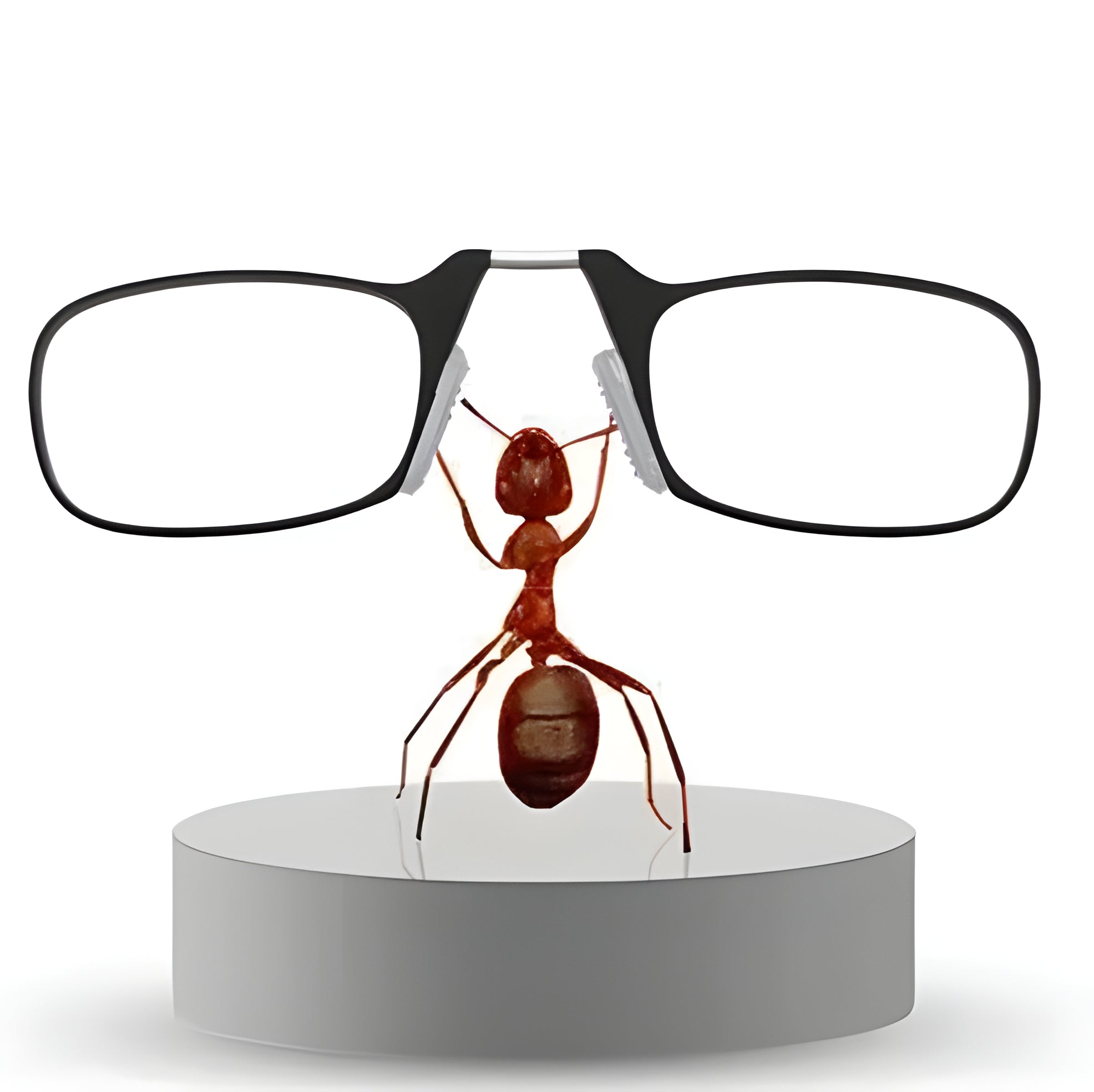 Foldable & Functional Glasses - product image 4