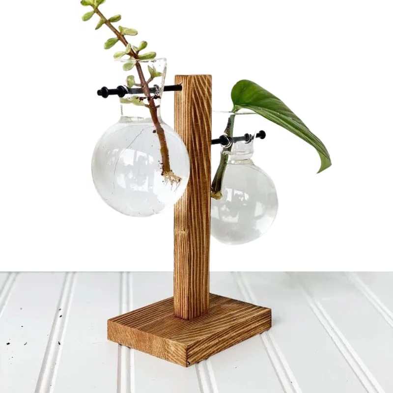 Wooden Frame Hydroponic Plant Vase - product image 4