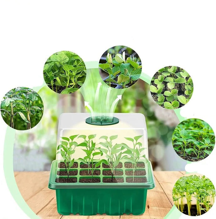 Household New Nursery Pot With Lamp - Plant Seed Starter - product detail 6