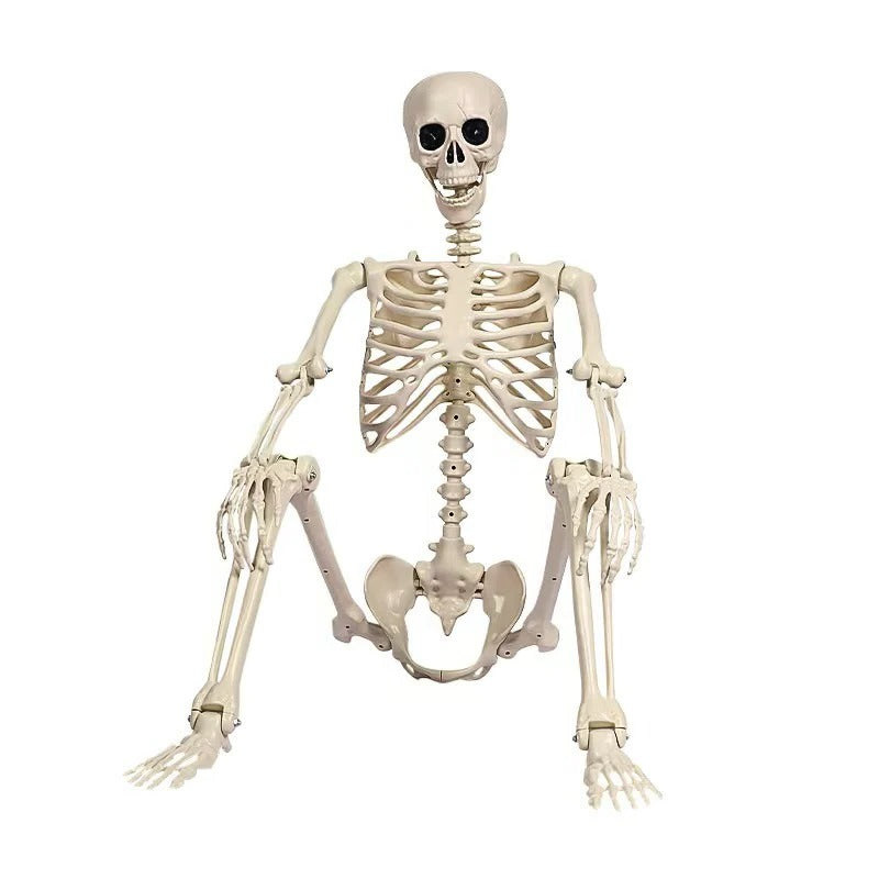 Life-Size Skeleton Decoration - product detail 5