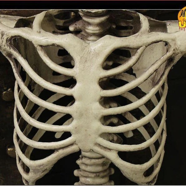 Life-Size Skeleton Decoration - product detail 3