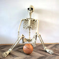 NOMOVA Life-Size Skeleton Decoration