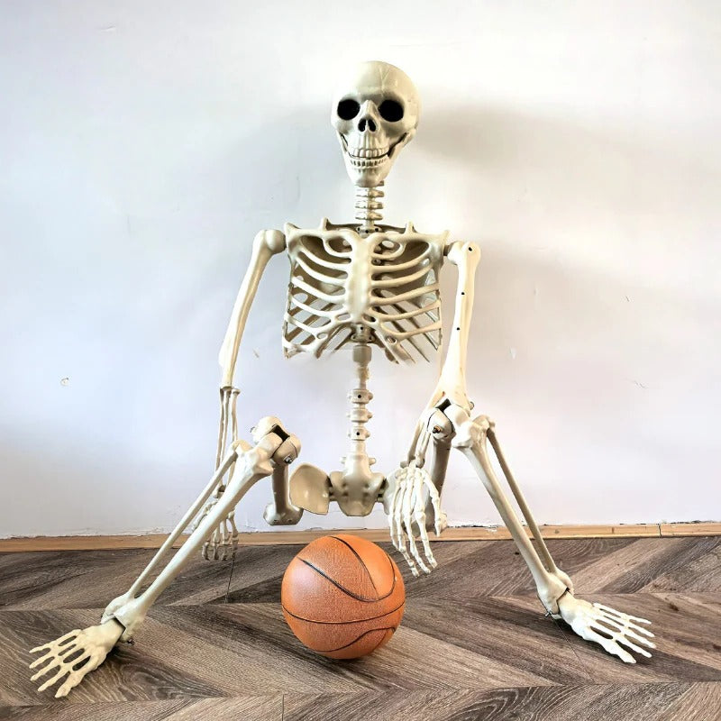 NOMOVA Life-Size Skeleton Decoration