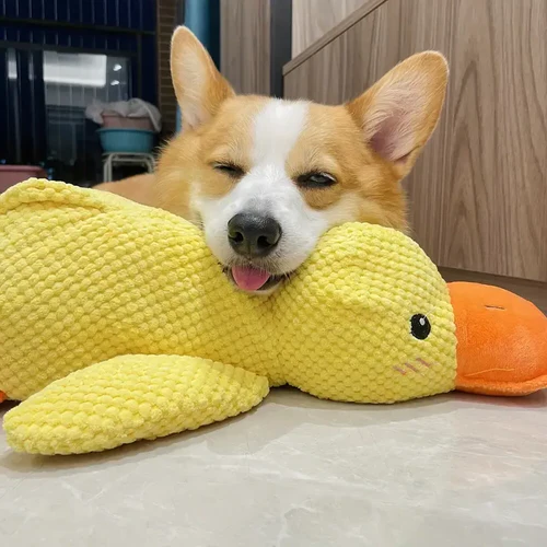 Calming Duck Dog Toy - product image 2