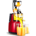 NOMOVA Automatic Juicer - Juicer Household Residue for Fruits and Vegetables