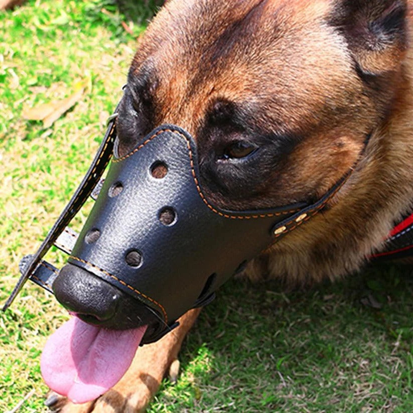 Breathable Dog Biting Muzzle Mouth Guard - product detail 3
