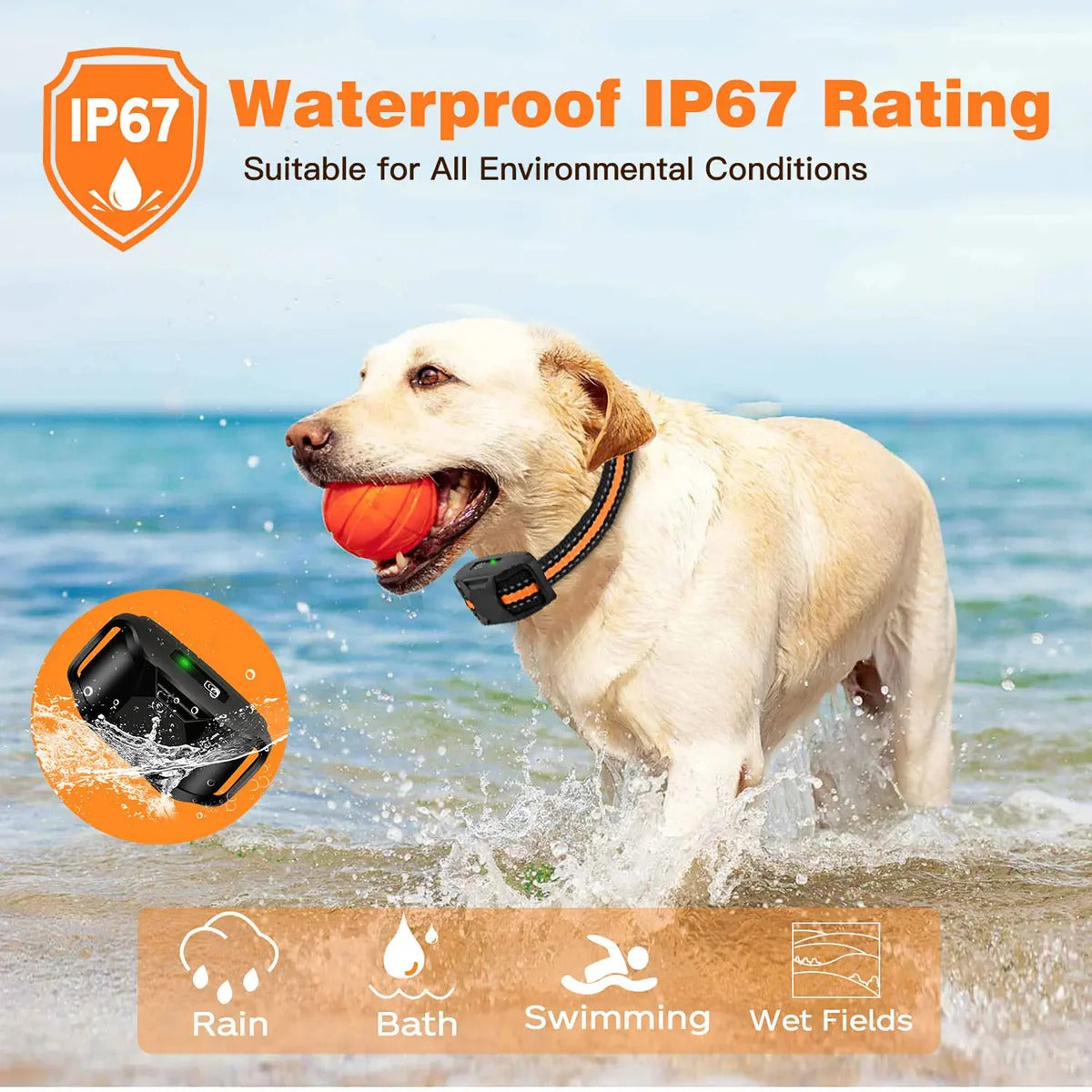 Remote Dog Training E-Collar - product detail 3